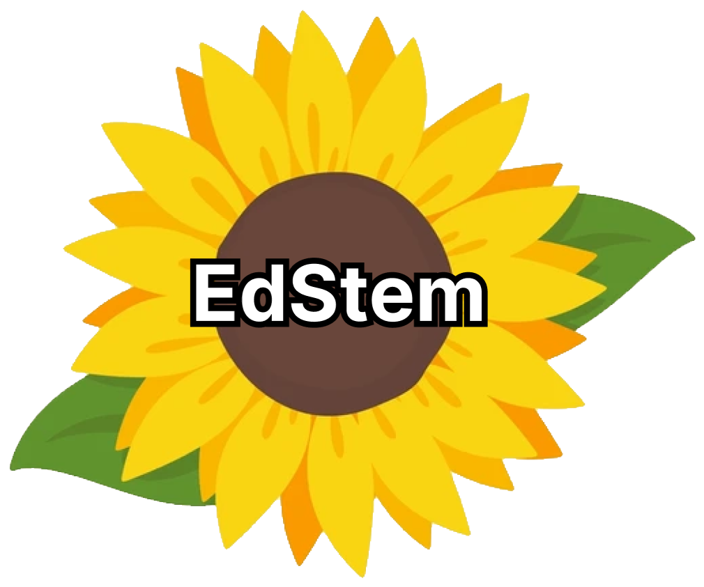 link to EdStem