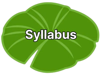 link to syllabus